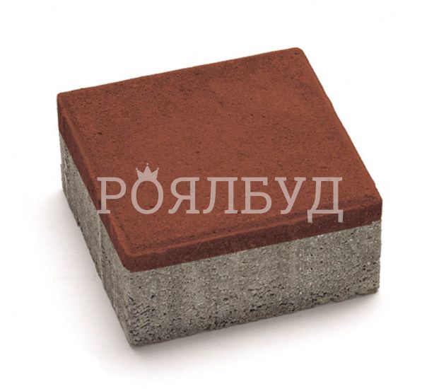 Брущатка 20-20-8 Вишня