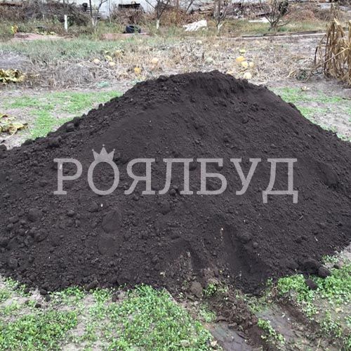 Чернозем