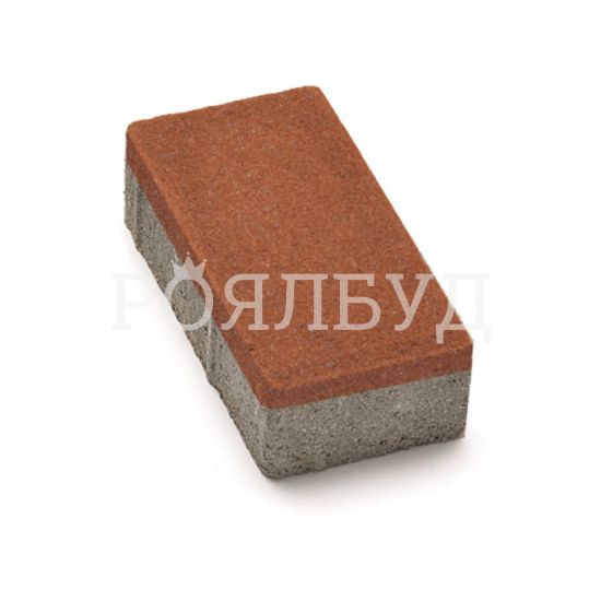 Цегла 200x100 40мм Червоний