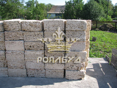 Ракушняк-черепашник